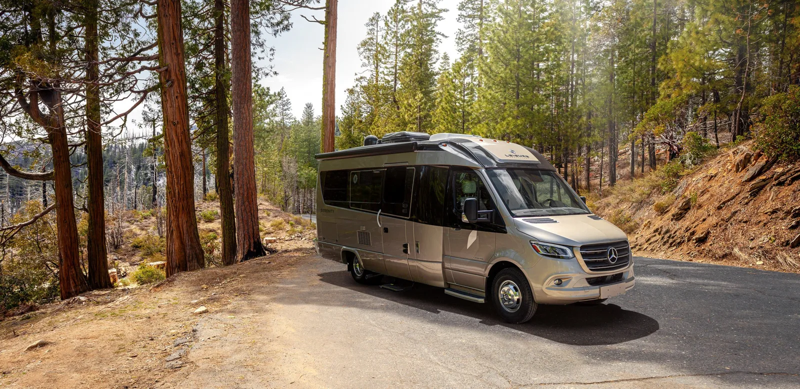 2020 Leisure Serenity for sale